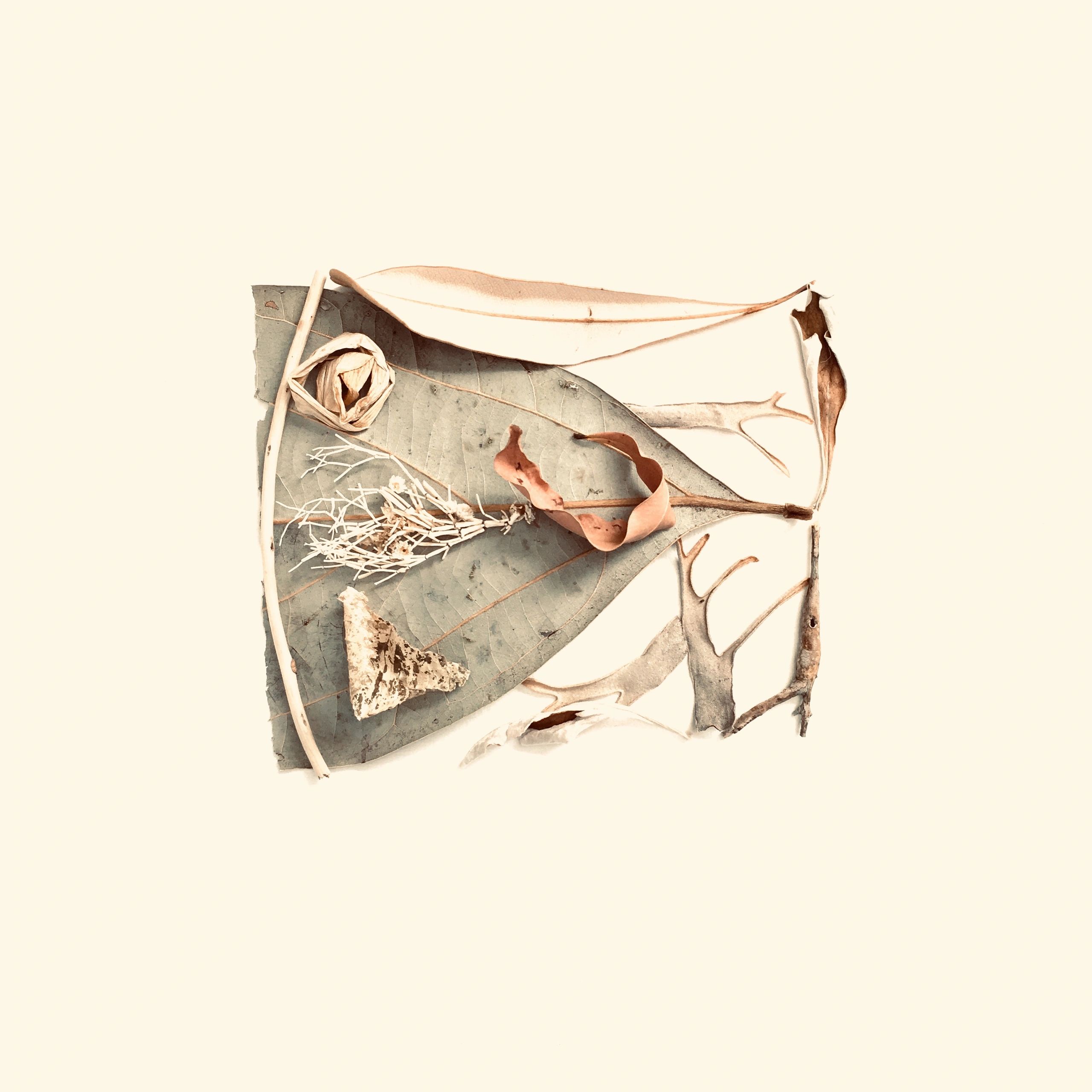 Abstract album-style artwork in soft tones