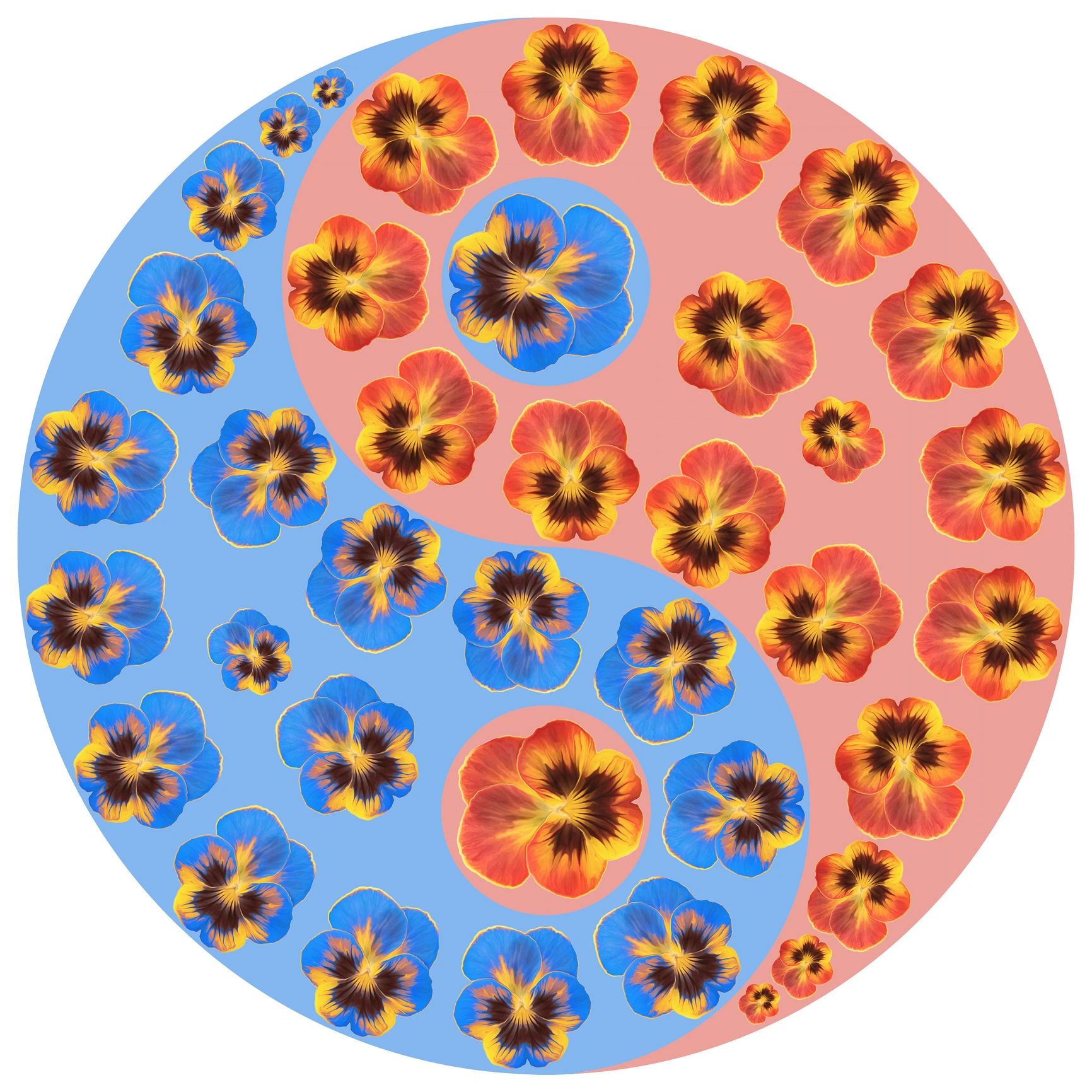 Floral yin-yang inspired artwork